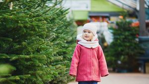 Christbaumkauf: Das muss man beachten