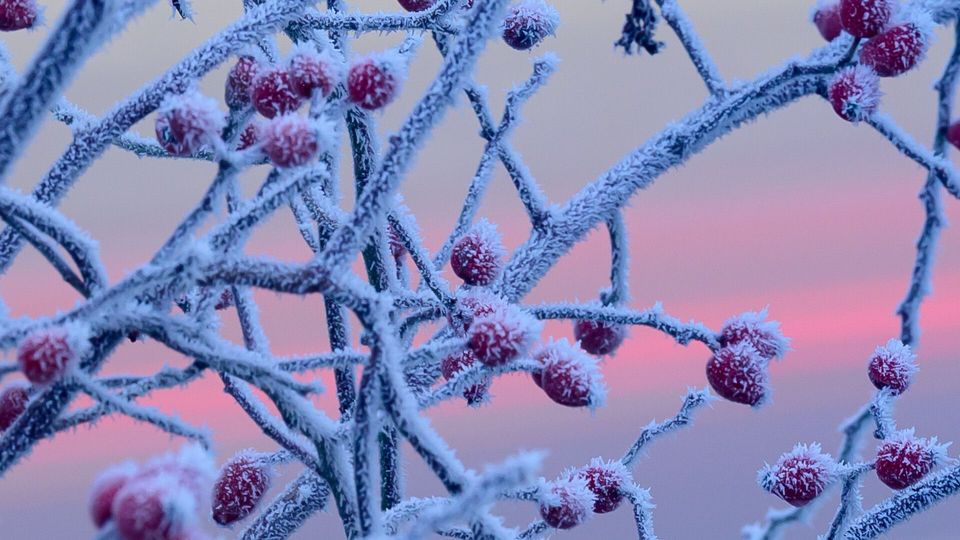 Wintereinbruch mit Wucht: Bis zu -15 Grad