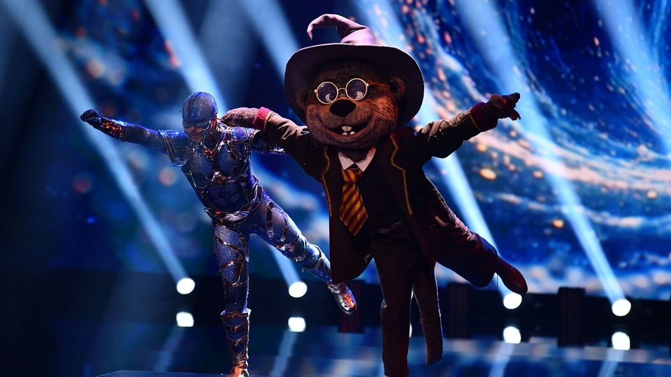 Harry Otter: Sanfte Klänge mit Green Days „Wake Me Up When September Ends“