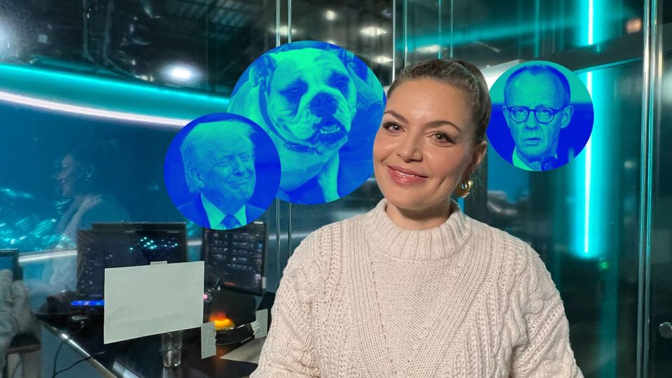 Merz-Wahl & Bertas Studio-Fauxpas: Stephis Jahresrückblick