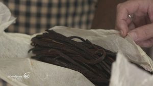 Vanille undercover – Was steckt wirklich drin?