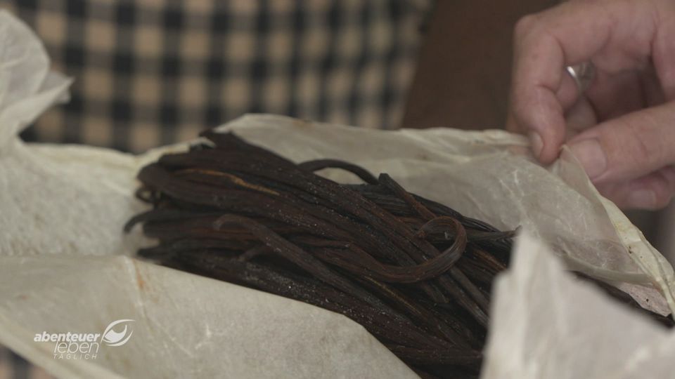 Vanille undercover – Was steckt wirklich drin?