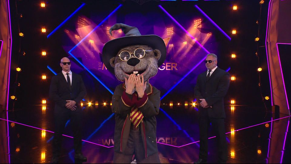 Enthüllung: Dieser Schauspieler hat als Harry Otter verzaubert