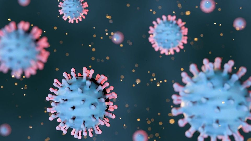 Urlauber schleppen Tropen-Krankheit nach Deutschland