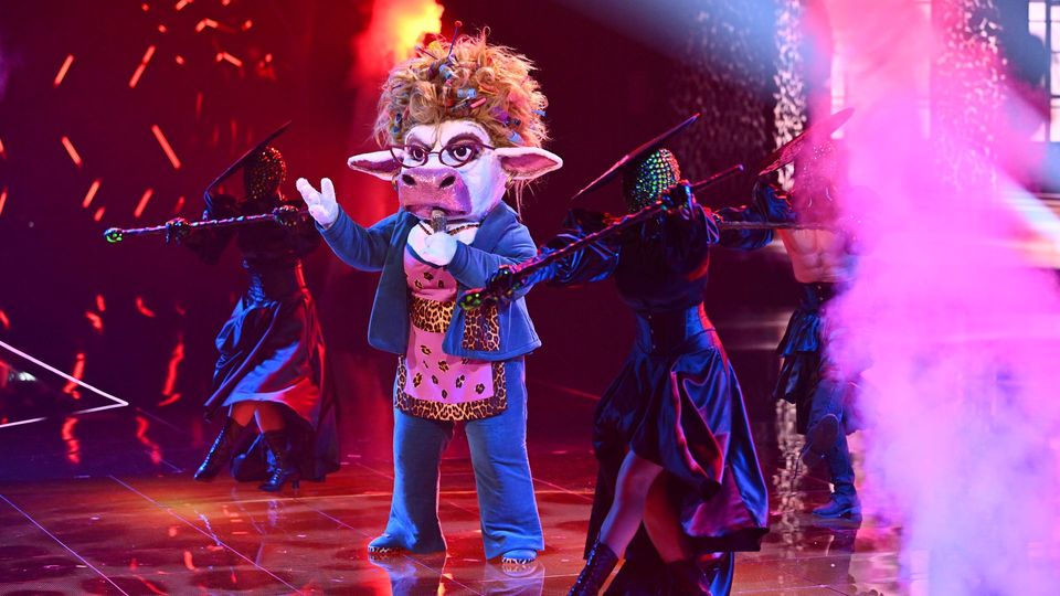 Lieblingssong: Muuhnika kehrt mit Lady Gagas „Abracadabra“ zurück