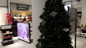 Weihnachtszauber auf der Düsseldorfer Kö