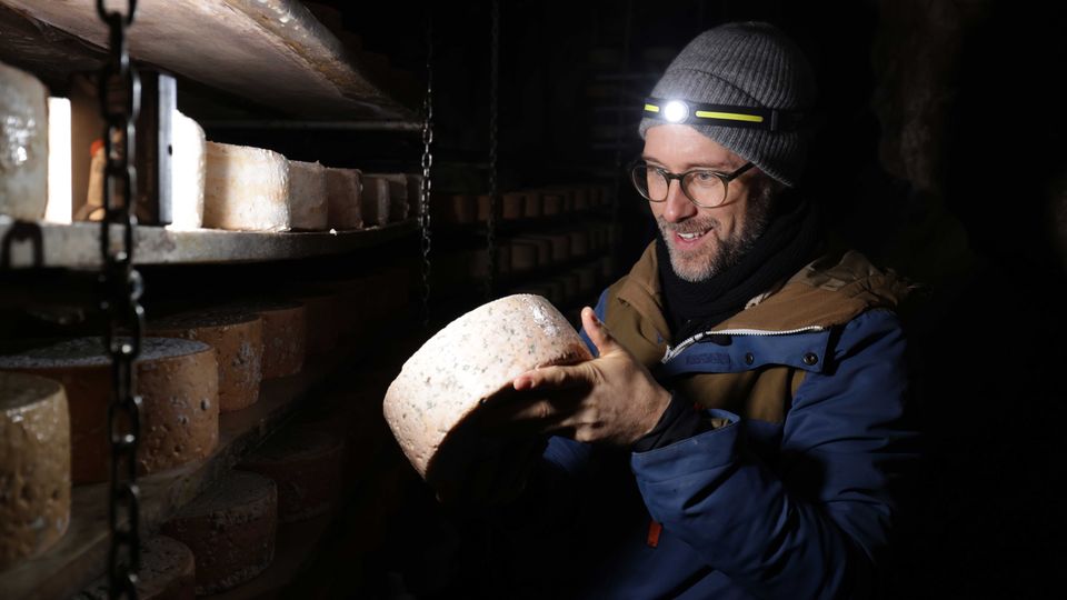 Dieser Käse kostet 36.000 Euro!