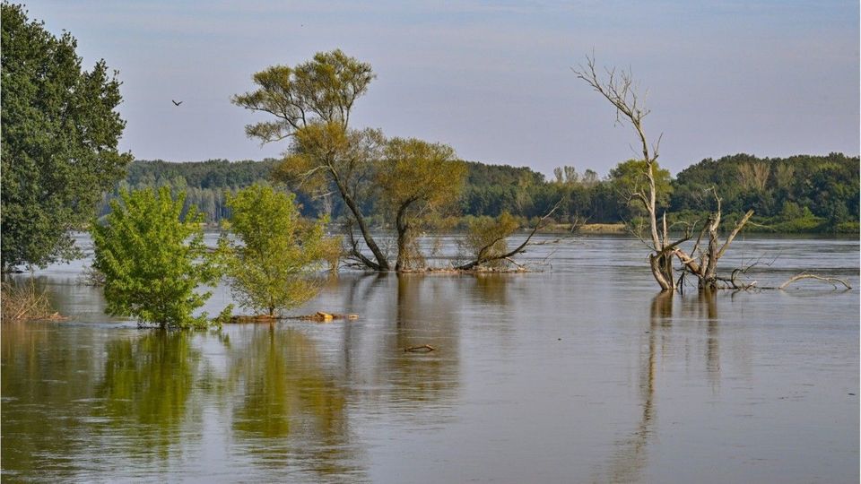 Hochwasser-Notstand: Alarmstufe 4 in Brandenburg ausgerufen