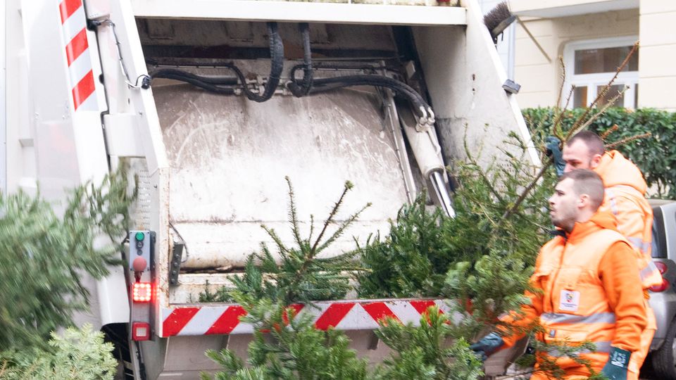 Wohin mit dem Weihnachtsbaum?