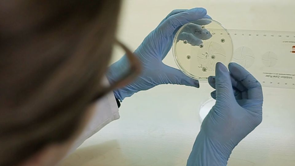 Sexuell übertragbare Krankheiten breiten sich rasant aus