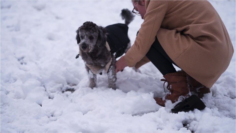 Extrem-Winter: Das ist jetzt wichtig