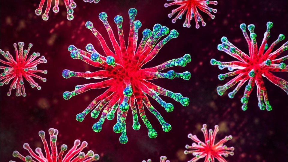 „Super-Grippe“: Influenza-Variante wütet – erste Tote