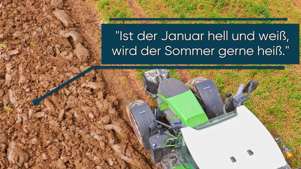 Laut Bauernregeln: So wird der Sommer 2026