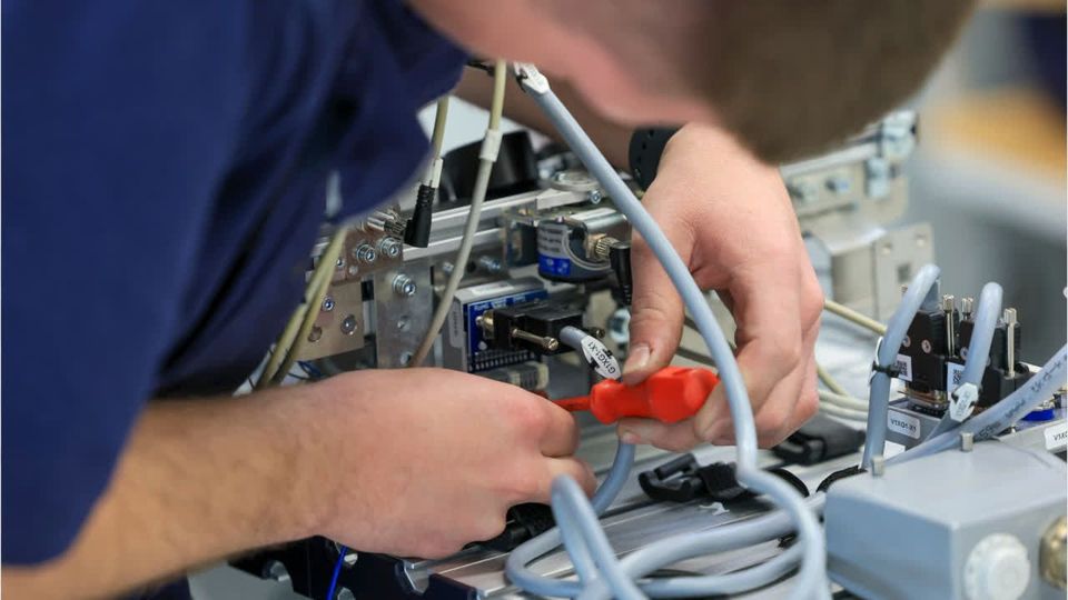 Frauen entscheiden sich häufiger für MINT-Studium