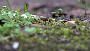 Düsseldorf plant Suchthilfe neben Schule