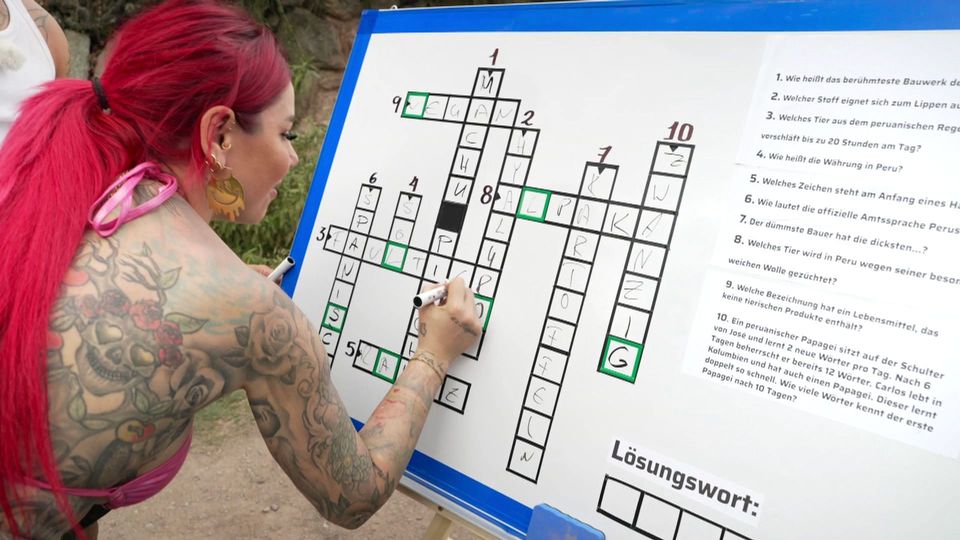 Hirn vs. Muskeln: Wer beweist Köpfchen in Peru?