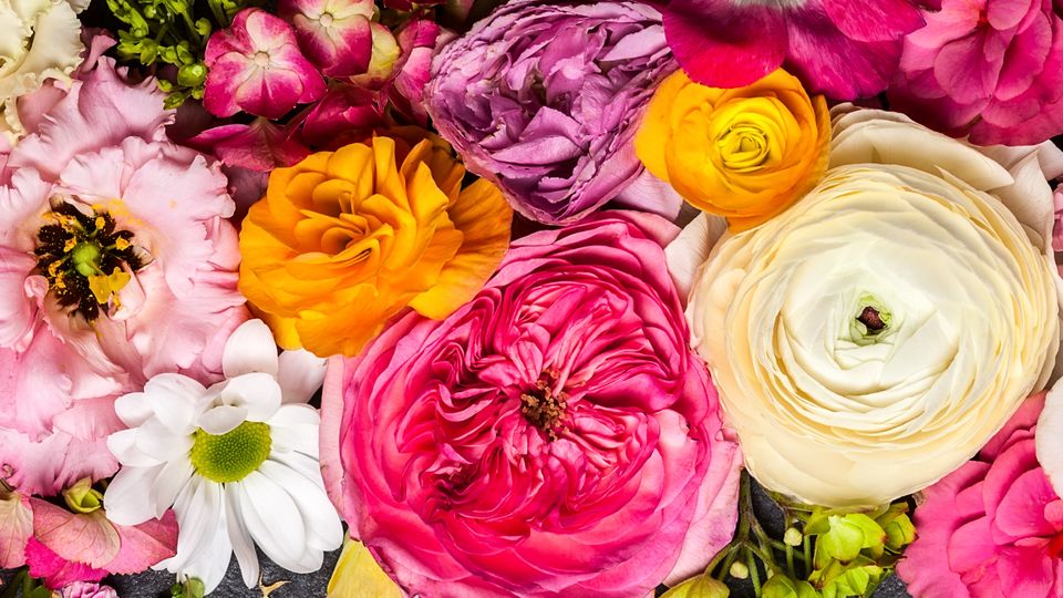 Valentinstag für viele überschätzt