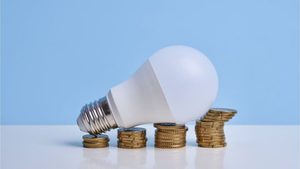 Grundversorger senken Strompreise