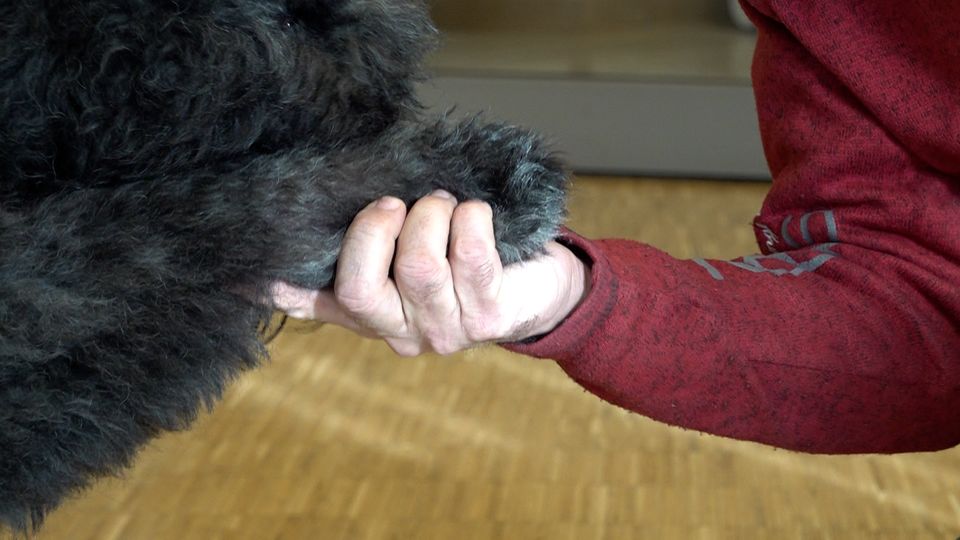 Hunde helfen Patienten im Kölner Krankenhaus