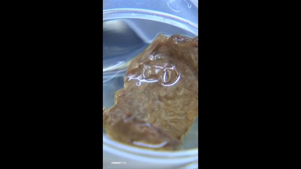 Labor-Fleisch aus Bierresten hergestellt