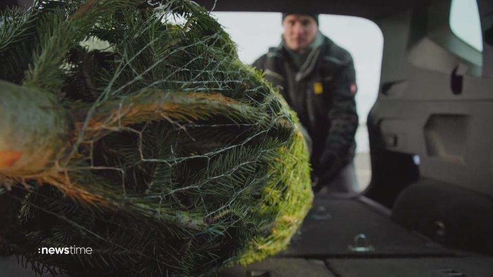 Weihnachtsbaum-Transport: Darauf sollte man achten