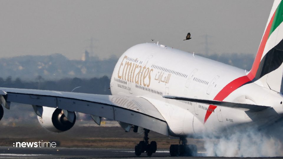 Nahost: Deutsche Touristen landen in Frankfurt