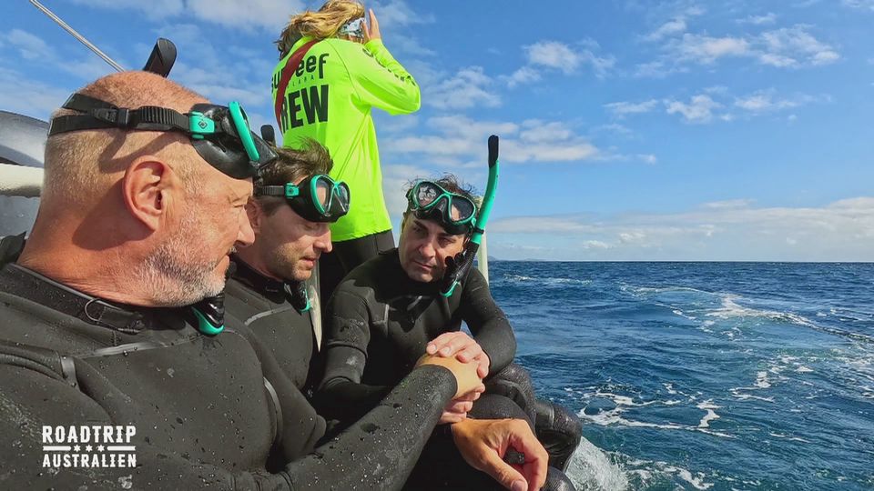 Starköche im im Reich der Wale