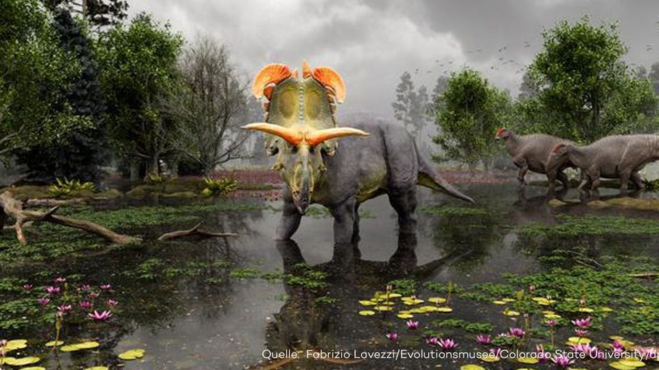 Sensation: Forscher entdecken größte, je gefundene Dinosaurier-Hörner