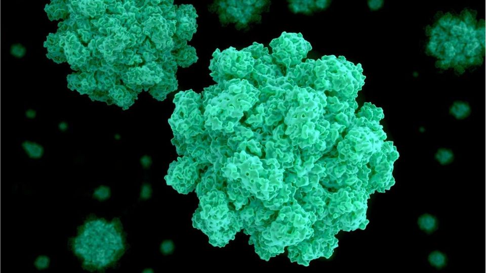 Virus-Ausbruch am Gardasee: Hunderte im Krankenhaus