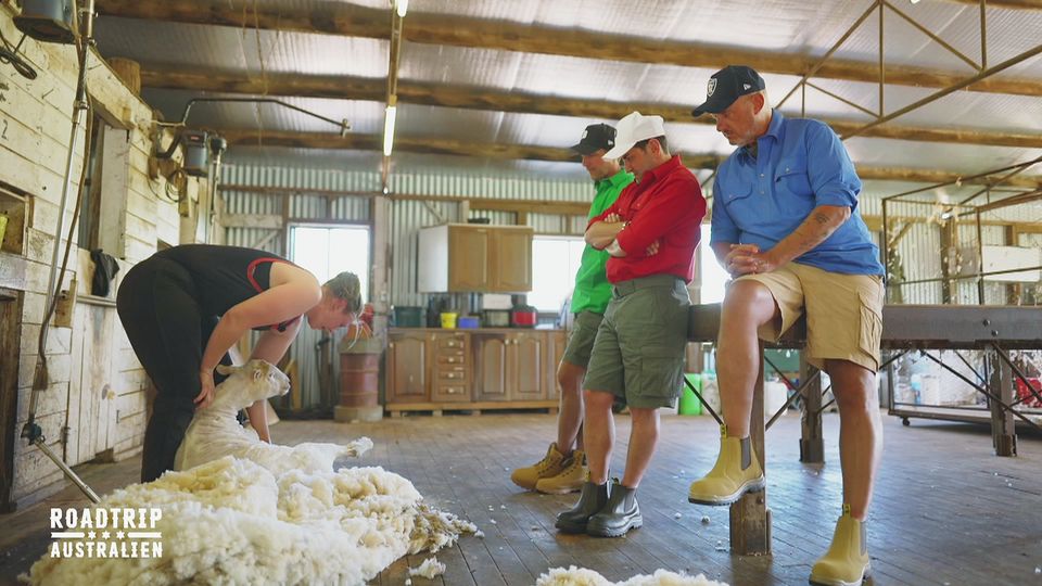 Lamm, Leidenschaft und 4000 Schafe