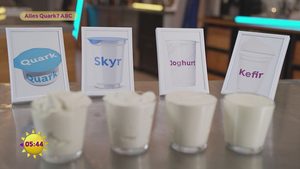 Alles Quark? Das ABC!