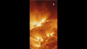 Dynamo der Sonne lokalisiert