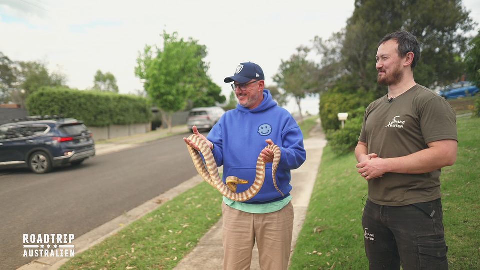 Im Reich der Schlangen