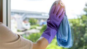 Frühjahrsputz für Fenster: Alles Wissenswerte