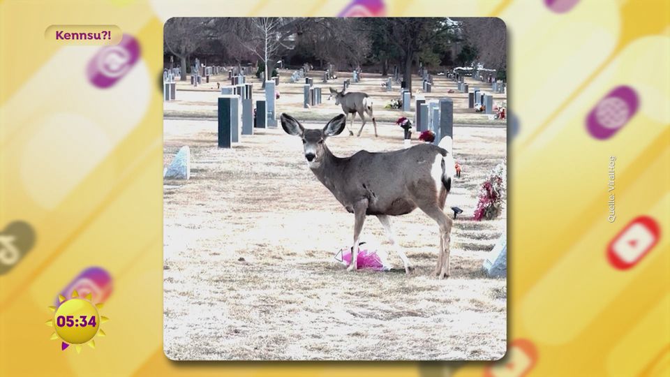 „Kennsu?!“ vom 23.03.2026