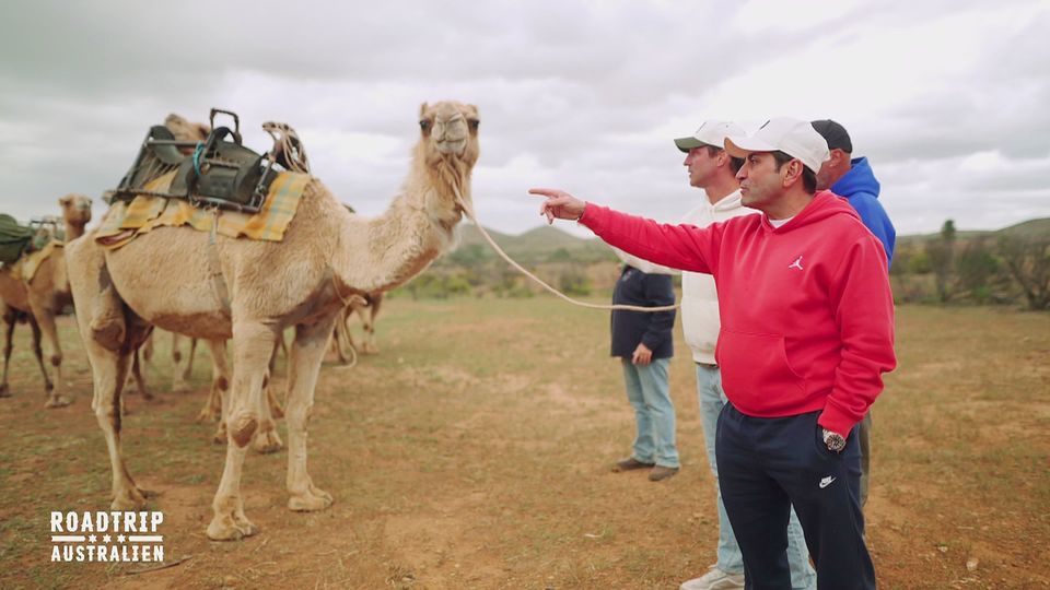 „Das mach ich doch nicht!“: Grillen statt Kamelritt