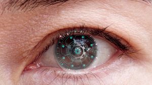 KI untersucht Bilder menschlicher Netzhaut