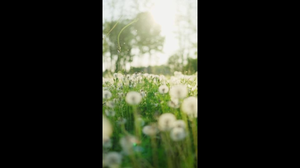 Das ändert sich im April
