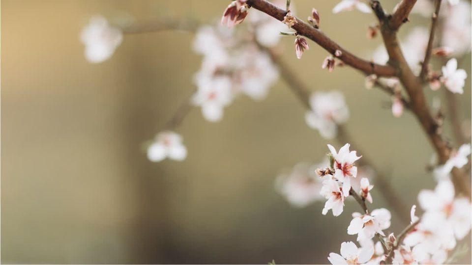 Das ändert sich im April