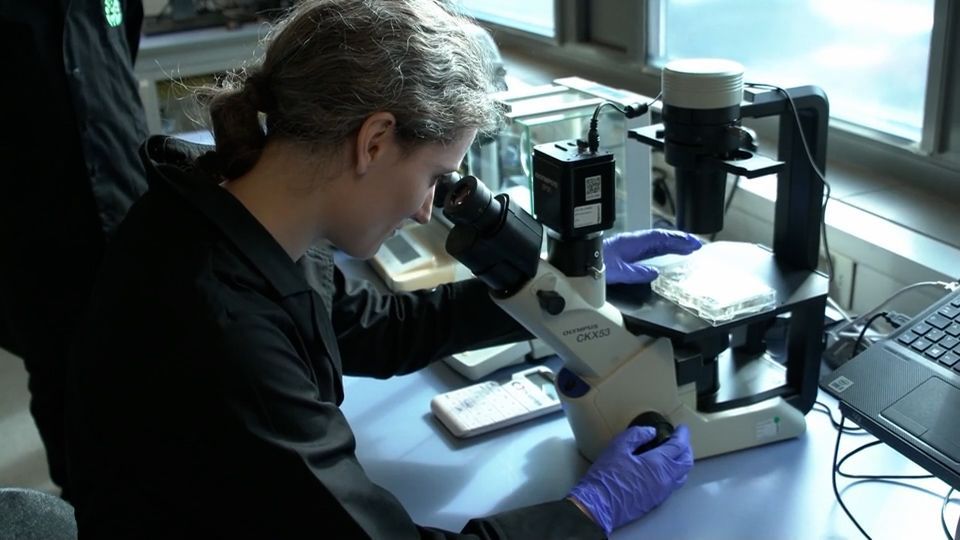 So wird unsere Forschung eingebremst