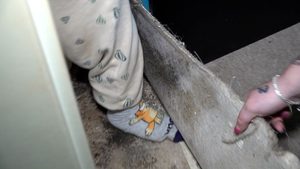 Schimmel in der Wohnung – Mieter verzweifeln