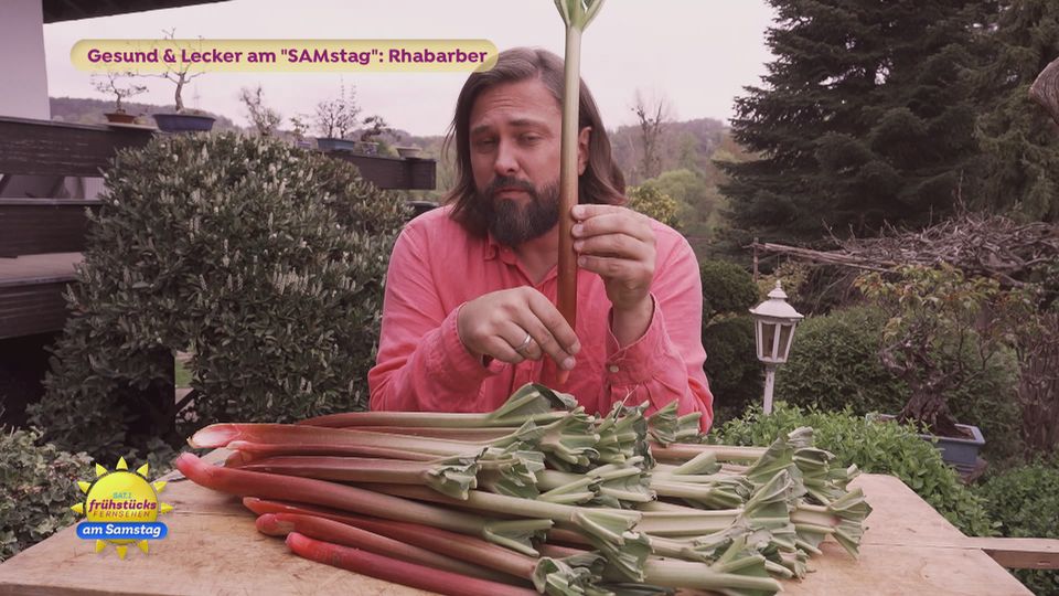 Rhabarber: Powergemüse im Frühling