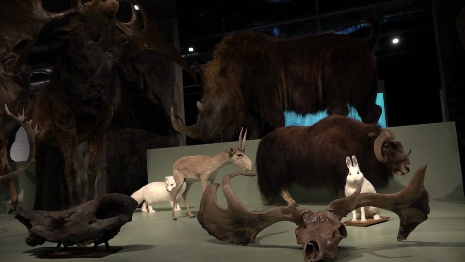 Eiszeit-Ausstellung in Essen