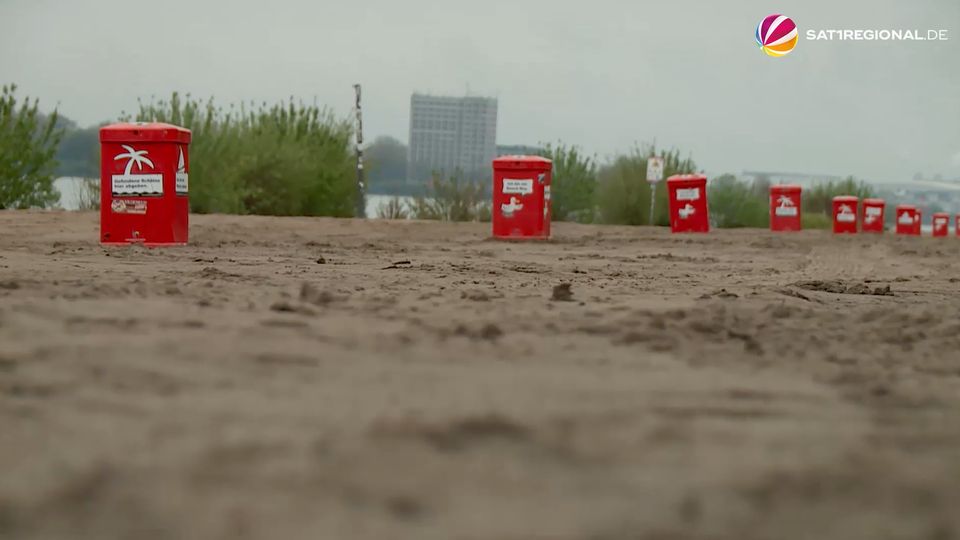 Stadtreinigung säubert Elbstrand in Hamburg