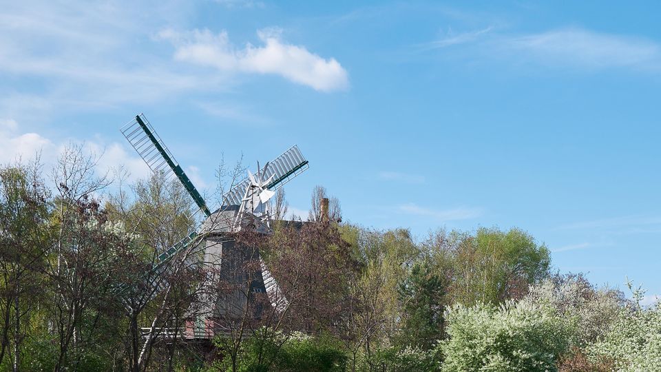 Heuschnupfen-Saison härter denn je
