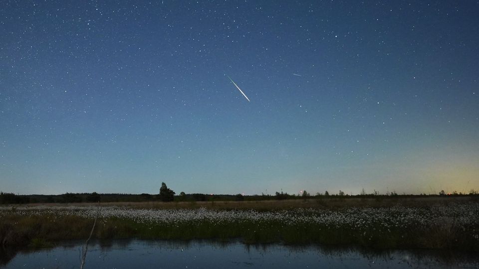 Sternschnuppen-Spektakel am Nachthimmel