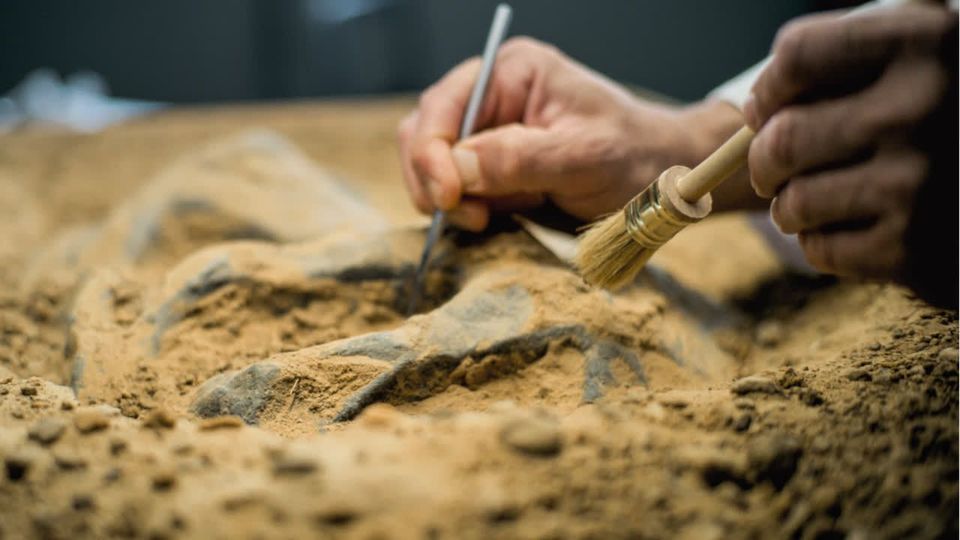 Ägyptische Mumie mit Homer-Text auf dem Bauch entdeckt