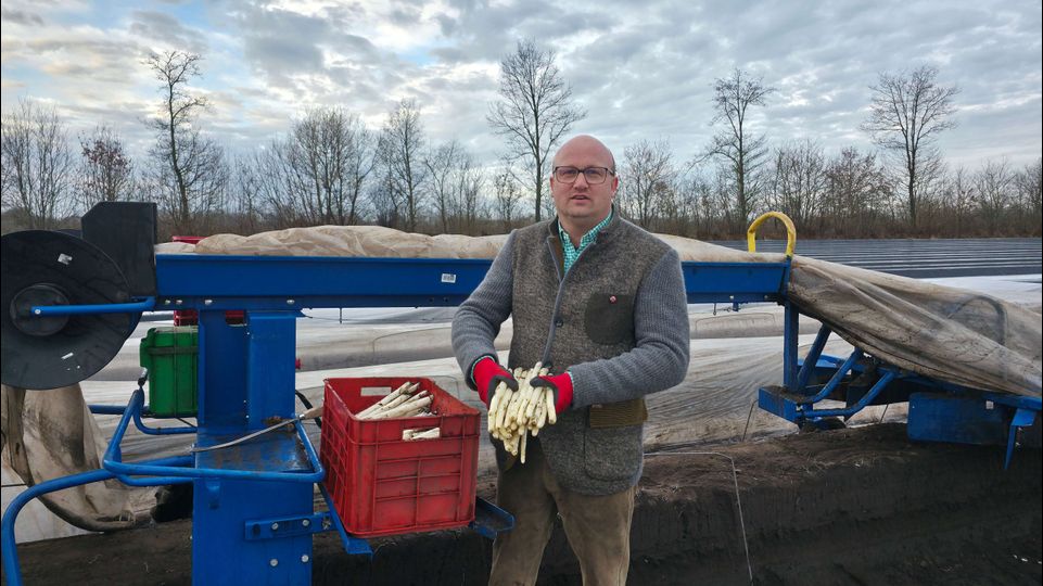 Preisfrage: Warum ist Spargel so teuer?