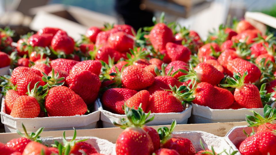 Warum Erdbeeren immer teurer werden
