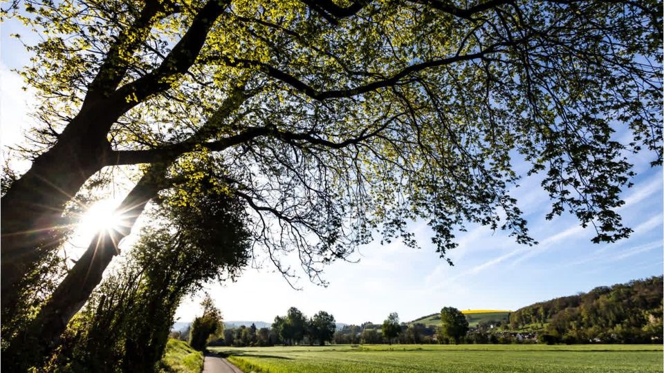 Heiteres Frühlingswetter zum Wochenstart